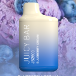 BLUEBERRY CREAM