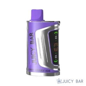 Berry Berry Ice